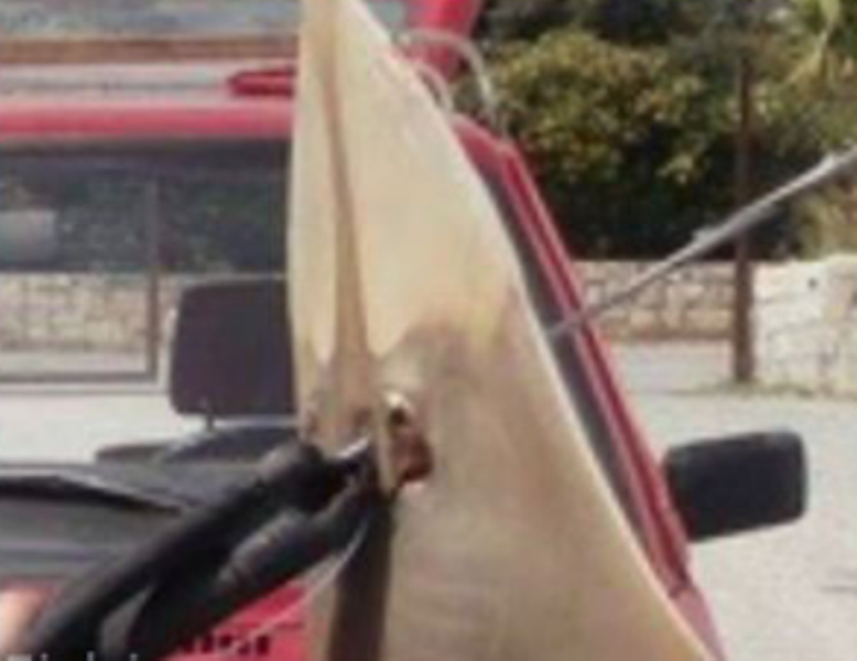 Ανέβασε το ψάρι που έπιασε στο facebook και το... πλήρωσε ακριβά (Photos) - Media