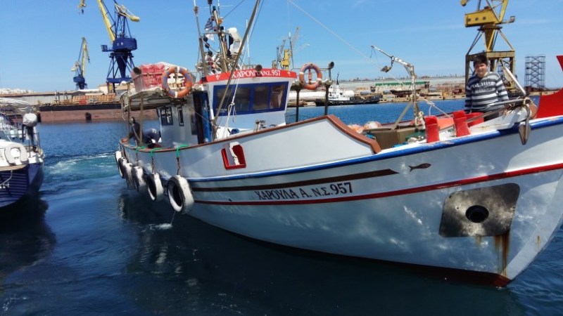 Σέριφος: Έπιασε 2 τεράστιους τόνους συνολικού βάρους 470 κιλών (Video) - Media