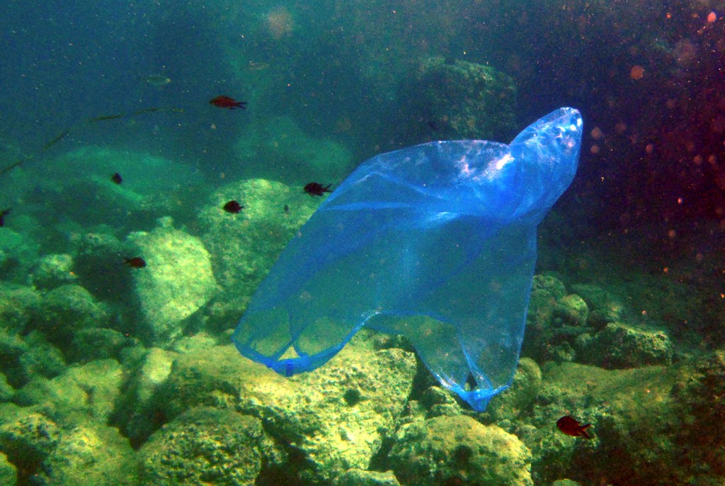 Σούπερ μάρκετ και ΙΕΛΚΑ: Προσπάθειες για μείωση της χρήσης πλαστικής σακούλας - Media