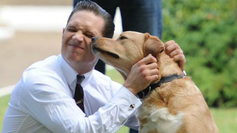 Το συγκινητικό γράμμα του Τομ Χάρντι για τον σκύλο του που έφυγε από τη ζωή (Photo, Video) - Media