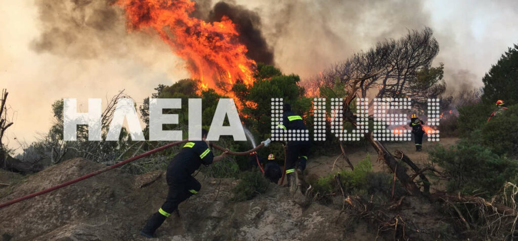 Ηλεία: Μεγάλη πυρκαγιά στο Βελανίδι Πηνείας - Media