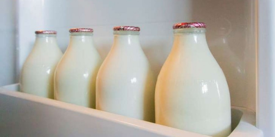 Προσοχή! Γιατί δεν πρέπει να βάζετε το γάλα στην πόρτα του ψυγείου το καλοκαίρι  - Media