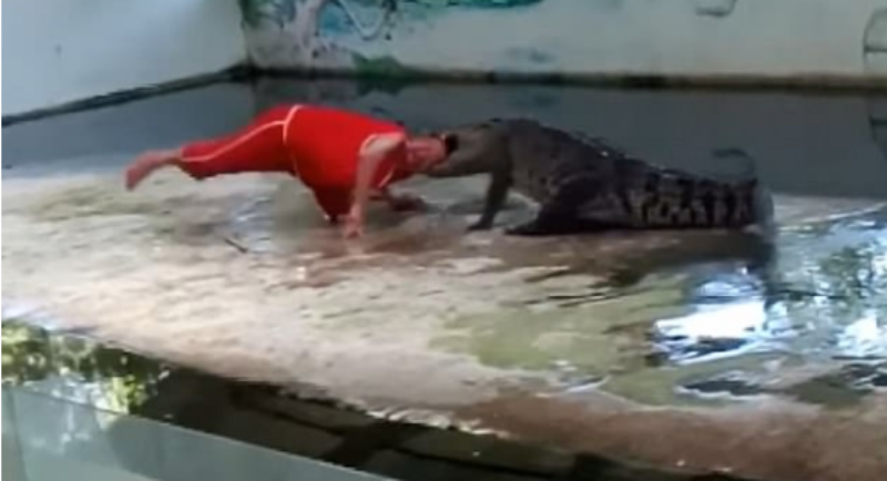 Πήγαινε γυρεύοντας: Άνδρας προκάλεσε κροκόδειλο και το… πλήρωσε (Video) - Media