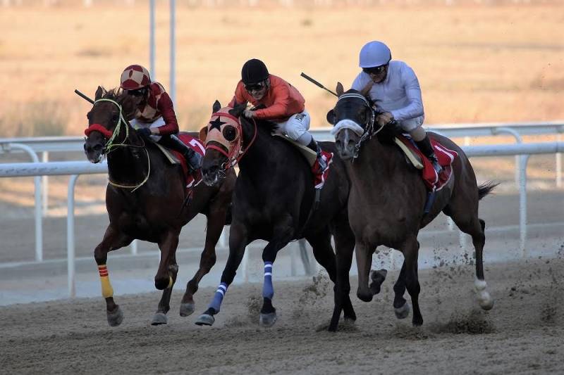 Εννέα ημέρες απομένουν για το μεγάλο ντέρμπι – Τα επτά καθαρόαιμα άλογα που θα τρέξουν στο 71ο Ελληνικό Ντέρμπι ΟΠΑΠ - Media