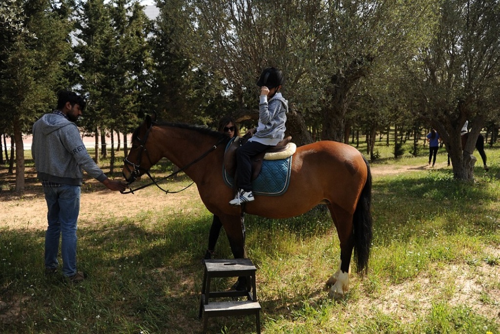 Βόλτες με άλογα και διασκεδαστικές δραστηριότητες στον ιππόδρομο στις 5 Ιουλίου - Media