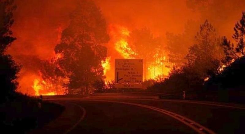 Ανείπωτη η τραγωδία στην Πορτογαλία:  62 οι νεκροί στην πύρινη κόλαση - Δεκάδες οι τραυματίες (Video) - Media