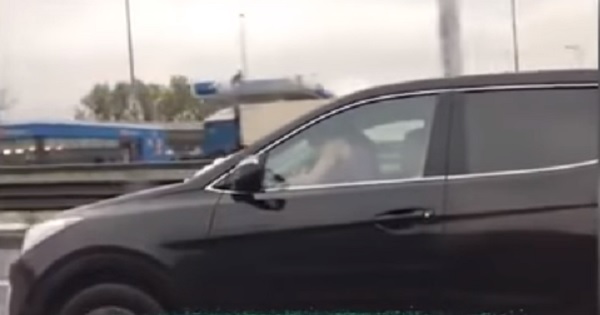 Ασυγκράτητοι: Έκαναν σεξ ενώ οδηγούσαν (Video) - Media