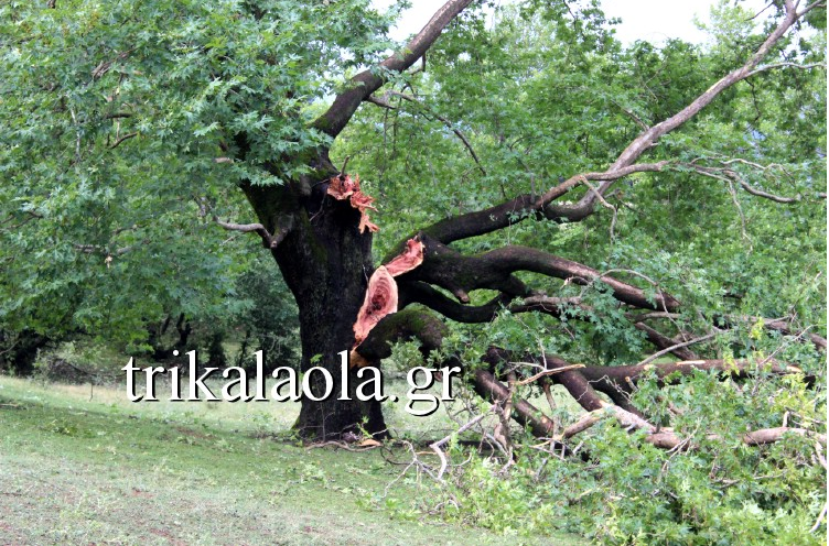 «Βιβλική» καταστροφή στα Τρίκαλα – Ανεμοστρόβιλος και χαλάζι σάρωσαν την περιοχή (Photos - Videos) - Media