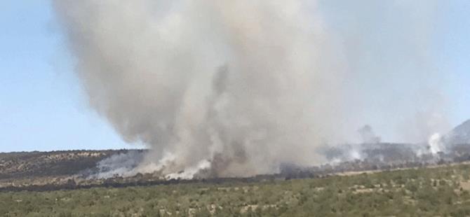 Το ψευδοκράτος αρνήθηκε βοήθεια από την Κύπρο για πυρκαγιά - Media