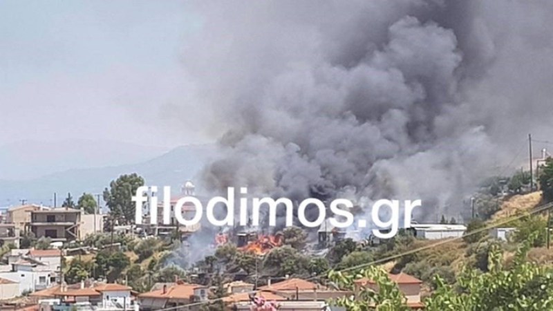 Αίγιο: Οκτώ κοντέινερ καταστράφηκαν από την φωτιά σε καταυλισμό σεισμοπλήκτων - Media