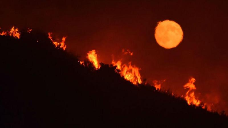 Κόλαση στην Αλγερία: Εκατό πυρκαγιές έχουν κάνει στάχτη 10.000 στρέμματα δάσους - Media