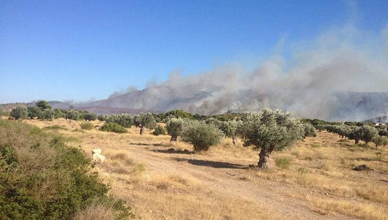 Η πανέμορφη Ρωσίδα αθλήτρια των χειμερινών ολυμπιακών που έχει κάνει τους άνδρες να παραμιλάνε (Photos & Video)  - Media Gallery 8