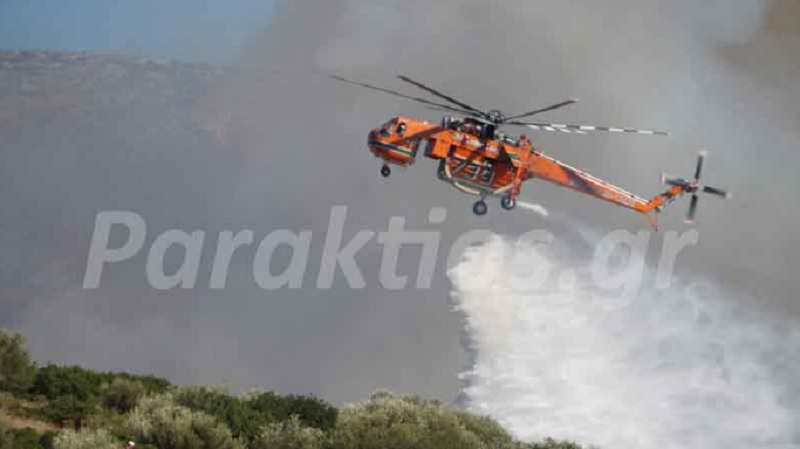Ολονύχτια μάχη με τις φλόγες- Εκτός κινδύνου σπίτια του Σαρωνικού - Media