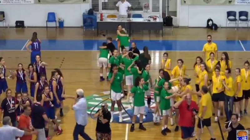 Απονομή με... ξύλο στο Πανελλήνιο Κορασίδων - Γονείς πιάστηκαν στα χέρια! (Video) - Media