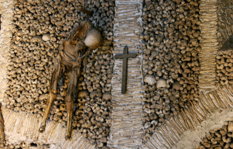 Αρχαιολογική ανακάλυψη σε μαζικό τάφο από τον Ισπανικό Εμφύλιο: Εγκέφαλοι 45 ανθρώπων που εκτελέστηκαν - Media