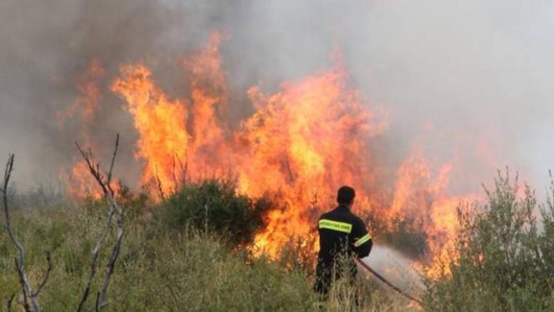 Υπό έλεγχο η πυρκαγιά στην Αγία Άννα Εύβοιας - Media