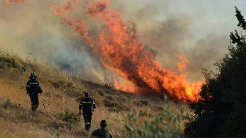 Φωτιά στη ΒΙ.ΠΕ. Πάτρας - Media