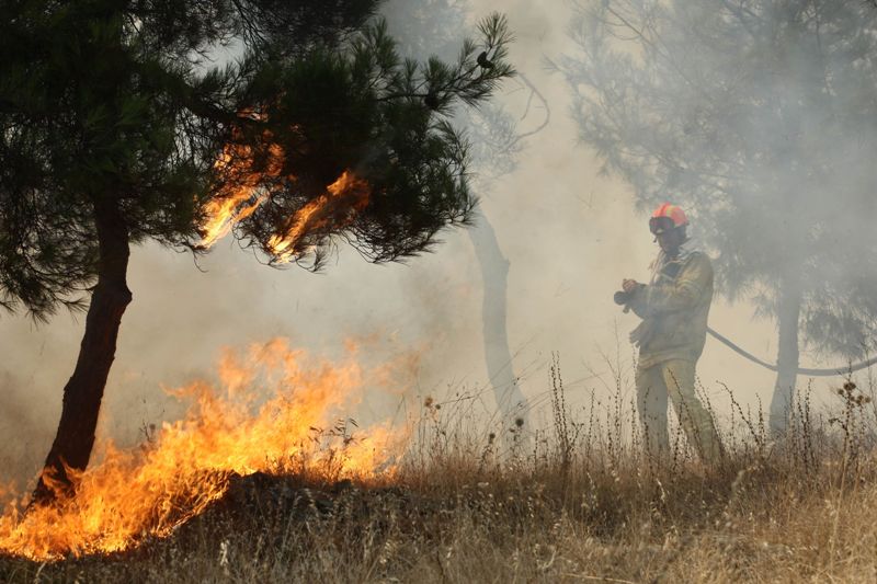 Πυρκαγιά κοντά στην Μονή Αγκαράθου στο Ηράκλειο - Media