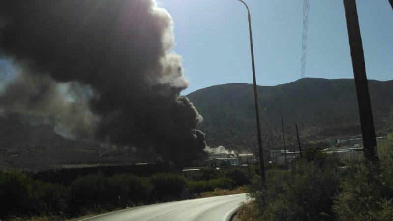 Μεγάλη πυρκαγιά σε εργοστάσιο πλαστικών στα Οινόφυτα - Σοβαροί τραυματισμοί - Media