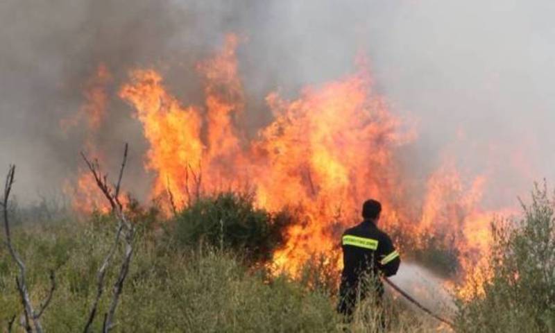 Πυρκαγιά στο Καρπενήσι - Media