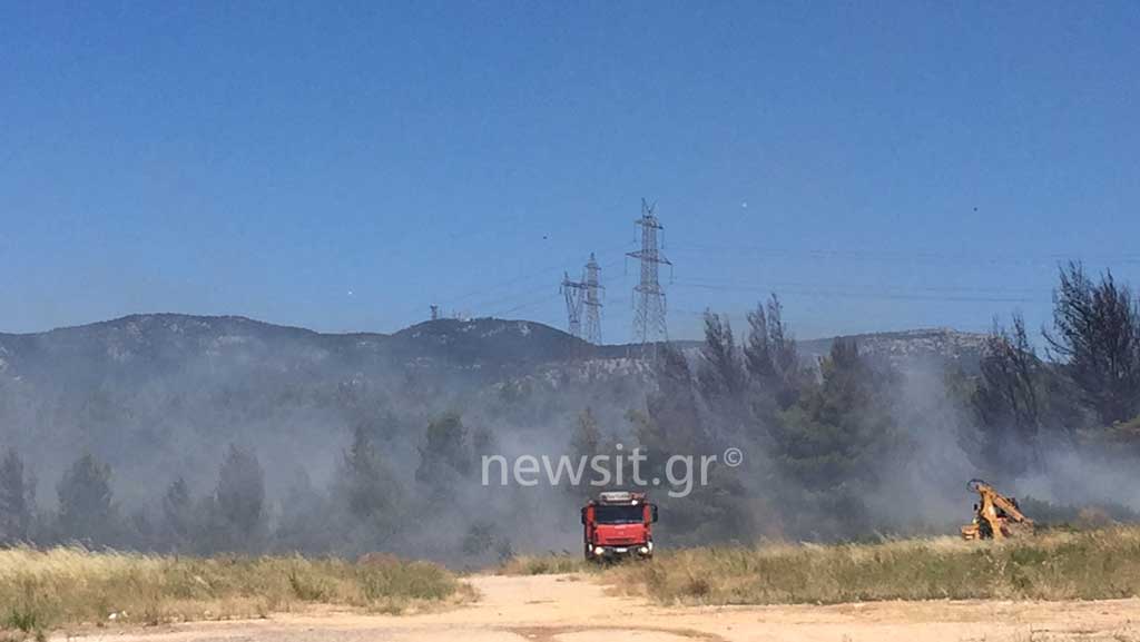 Υπό μερικό έλεγχο η πυρκαγιά στο Κρυονέρι Αττικής - Media