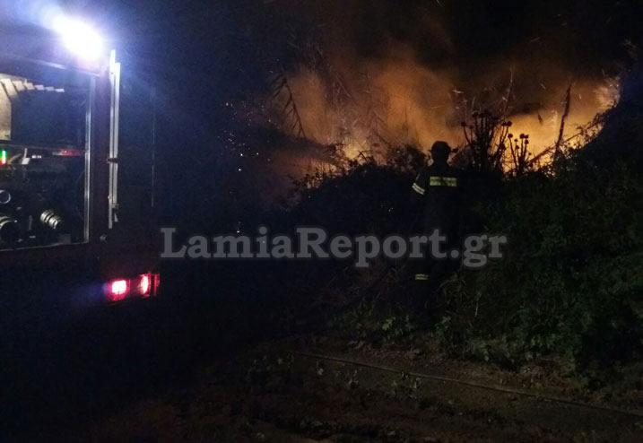 Αναστάτωση στη Λαμία με τρένο που έσπειρε.. φωτιά (Photos) - Media