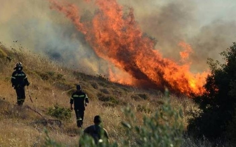 Κεφαλονιά: Μεγάλη πυρκαγιά στην Αγία Ειρήνη - Ισχυροί άνεμοι στην περιοχή  - Media