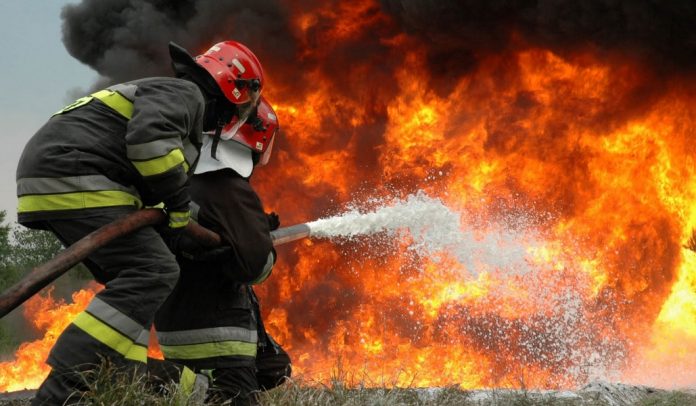 Πυρκαγιά σε δασική έκταση στον Έβρο - Media