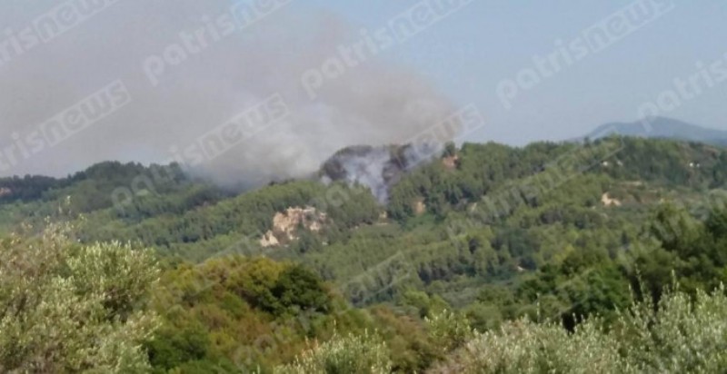 Συναγερμός στην Πυροσβεστική - Σε εξέλιξη μεγάλη πυρκαγιά στα Κρέστενα Ηλείας (Video)  - Media
