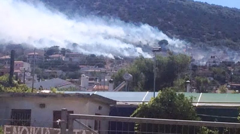 Υπό μερικό έλεγχο η πυρκαγιά στην Αρτέμιδα - Media