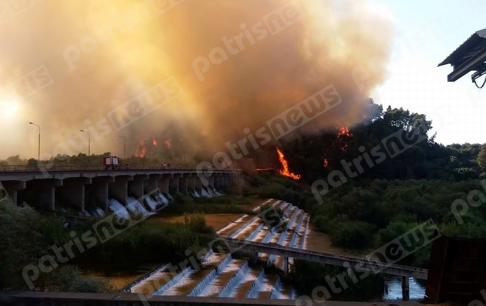 Υπό έλεγχο η πυρκαγιά σε δασική έκταση στην Αλφειούσα (Photos) - Media