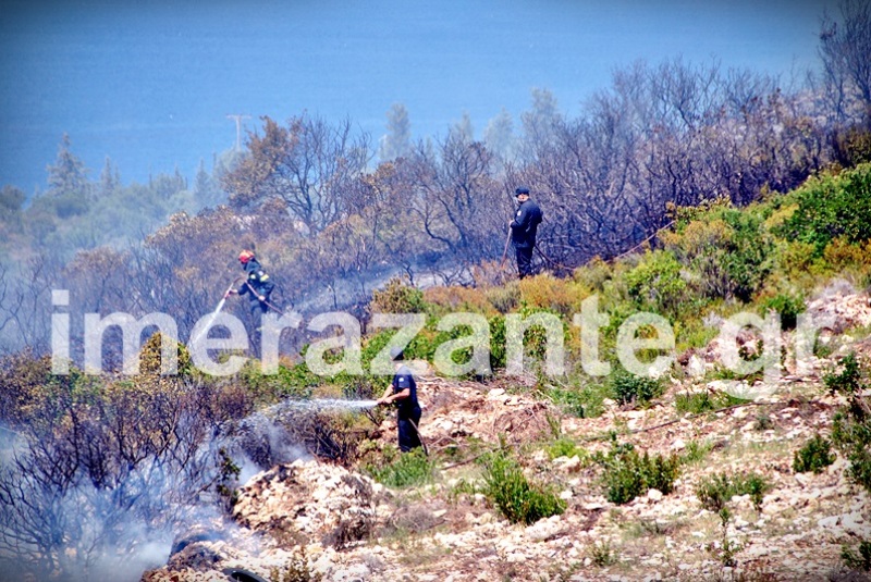 Σε ύφεση το πύρινο μέτωπο στις Ορθονιές Ζακύνθου - Media
