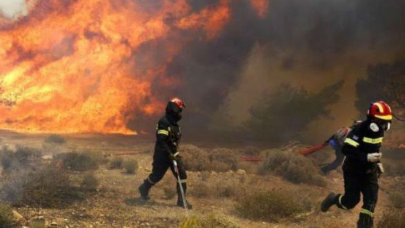 Ολονύχτια μάχη με τις φλόγες στη Ροδόπη - Media