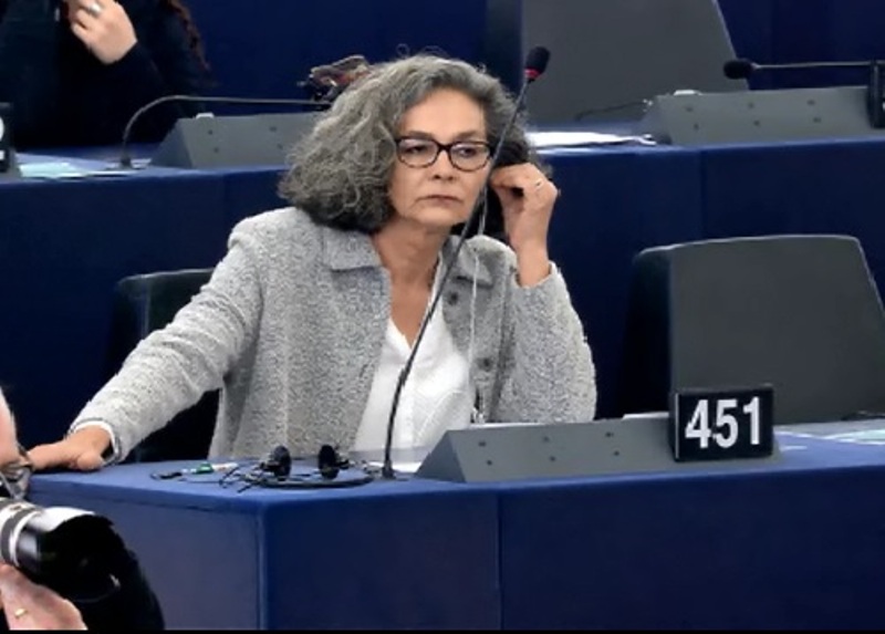 Παρέμβαση της Σοφίας Σακοράφα στο Ευρωκοινοβούλιο με αναφορά στην επιστροφή των Γλυπτών του Παρθενώνα - Media