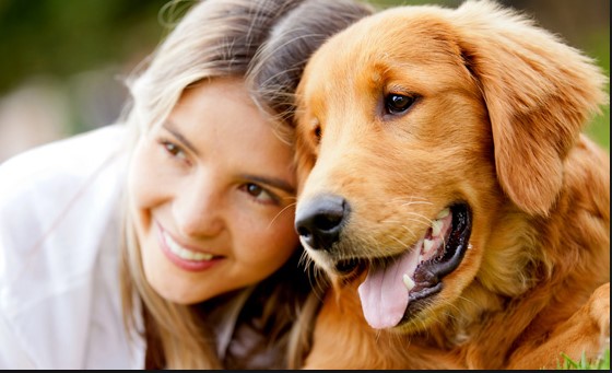 Έρχεται ο μεταφραστής των ζώων - Νέο νόημα στα «νιάου» και τα «γαβ» - Media