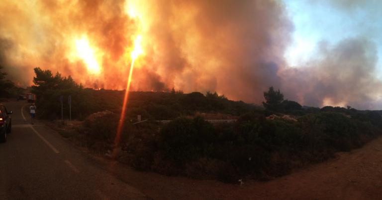 Μάχη με τις φλόγες σε όλη τη χώρα: 46 πυρκαγιές σε ένα 24ωρο - Media