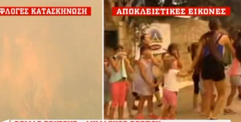 Παιδιά με τις μπλούζες στα πρόσωπα μέσα σε καπνούς - Βίντεο από τη στιγμή εκκένωσης της κατασκήνωσης στον Κάλαμο (Video) - Media