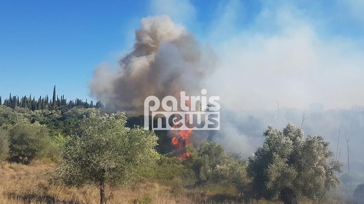 Ολονύχτια μάχη με τις φλόγες στην Ανάληψη Αμαλιάδας - Υπό έλεγχο η φωτιά στο Ανδρώνι - Media