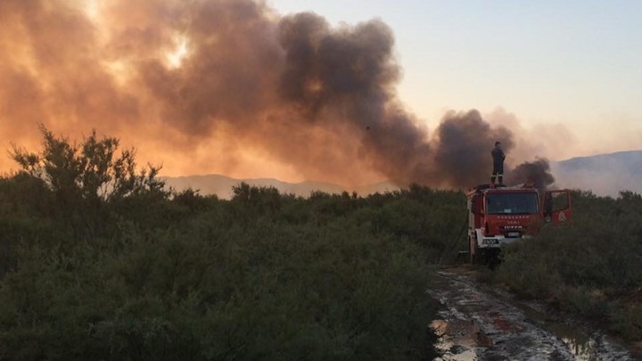Πυρκαγιά στη Ροδόπη - Media