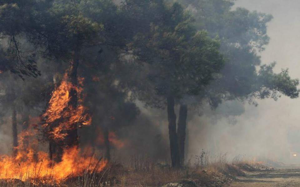 Πυρκαγιές σε Μεσσηνία και Ζάκυνθο - Media