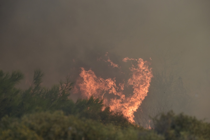 Βαρνάβας: Η φωτιά «σκέπασε» τον ήλιο (photos) - Media Gallery 24