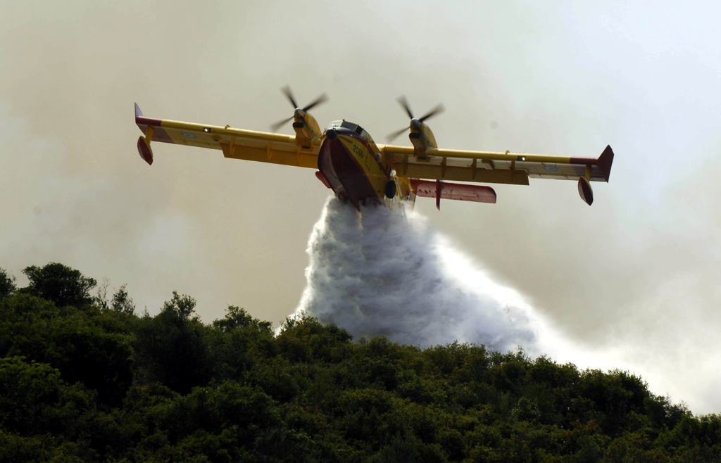 Μέγαρα: Η πρώτη δασική φωτιά της περιόδου κατακαίει πεύκα - Επιχειρεί αεροσκάφος της Πυροσβεστικής - Media