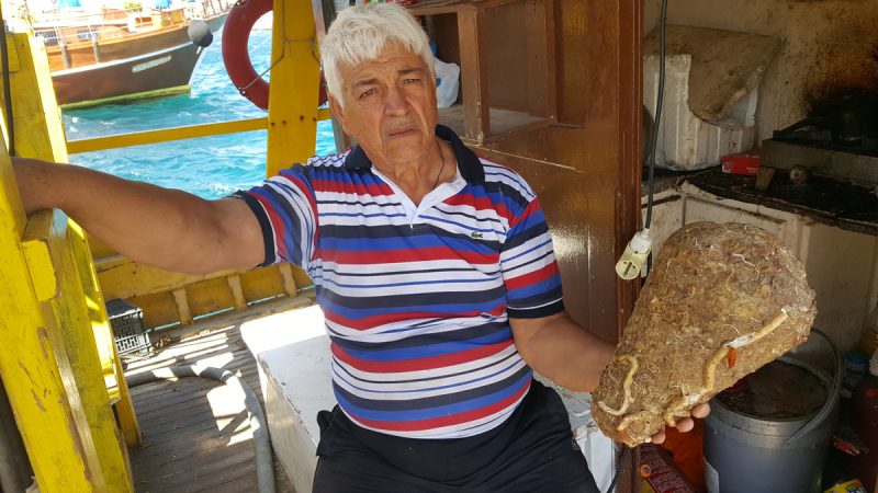 Κρήτη: Ο ψαράς που αλιεύει… αμφορείς (video) - Media