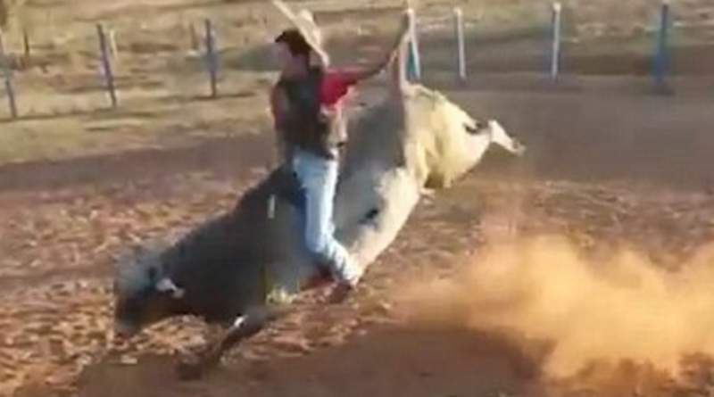 Φρικτό τέλος για εκπαιδευτή ταύρου - Τον έριξε από την πλάτη του και τον ποδοπάτησε (Video) - Media