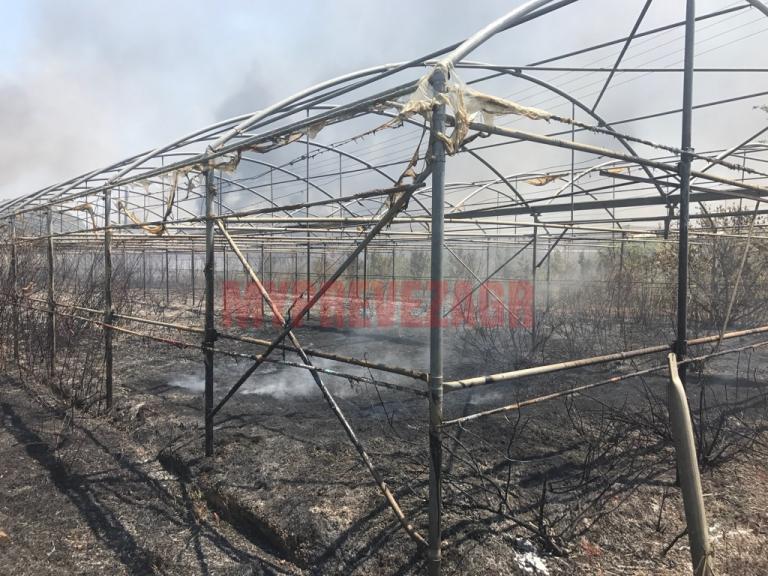 Πύρινη «κόλαση» στην Πρέβεζα – Κάηκαν εργοστάσιο και θερμοκήπια (Video) - Media