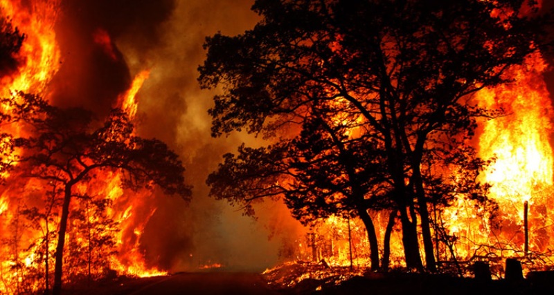 Τις τελευταίες 24 ώρες ξέσπασαν 47 πυρκαγιές σε όλη τη χώρα  - Media