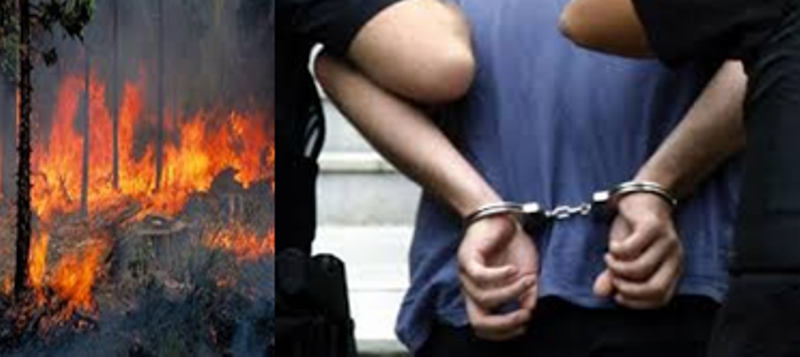 Προφυλακίστηκε 24χρονος για πρόκληση 16 πυρκαγιών στην Αττική - Media