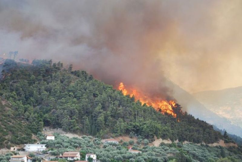 Ξέσπασε πυρκαγιά στη Σαλαμίνα  - Media