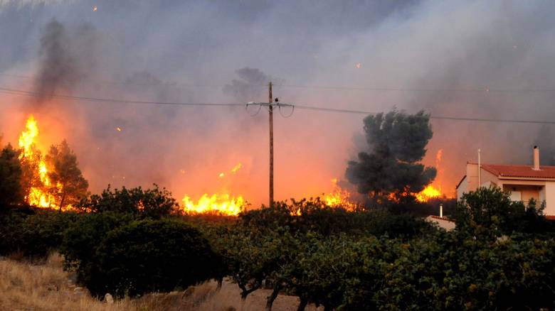 Φωτιά ξέσπασε στην Κρήτη - Σε συναγερμό η Πυροσβεστική - Media