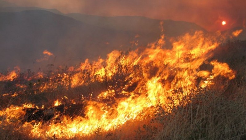 Συναγερμός στην Πυροσβεστική - Μεγάλη φωτιά στην Κυπαρισσία και στο Μαρκόπουλο - Media